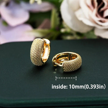 Trendy High-quality Twisted Hoop Earrings  Ear Rings for Women Silver Color Designer Jewelry New Arrival 2022