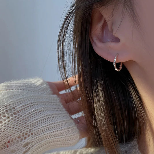 Trendy High-quality Twisted Hoop Earrings  Ear Rings for Women Silver Color Designer Jewelry New Arrival 2022