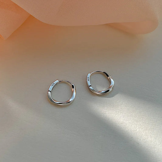 Trendy High-quality Twisted Hoop Earrings  Ear Rings for Women Silver Color Designer Jewelry New Arrival 2022