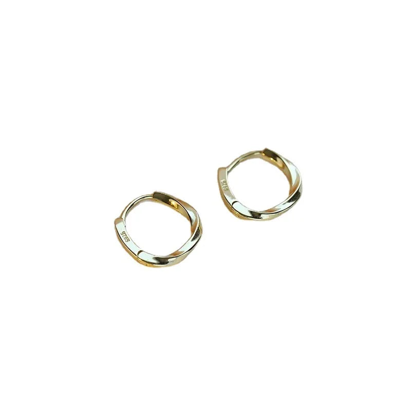 Trendy High-quality Twisted Hoop Earrings  Ear Rings for Women Silver Color Designer Jewelry New Arrival 2022