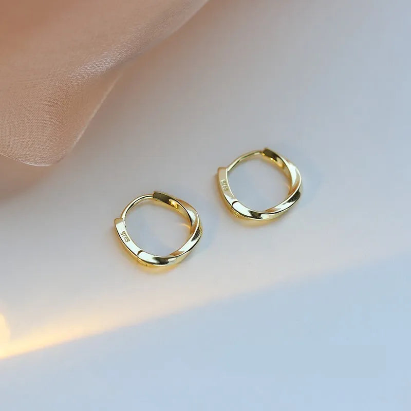 Trendy High-quality Twisted Hoop Earrings  Ear Rings for Women Silver Color Designer Jewelry New Arrival 2022