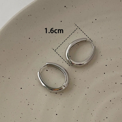 Trendy High-quality Twisted Hoop Earrings  Ear Rings for Women Silver Color Designer Jewelry New Arrival 2022